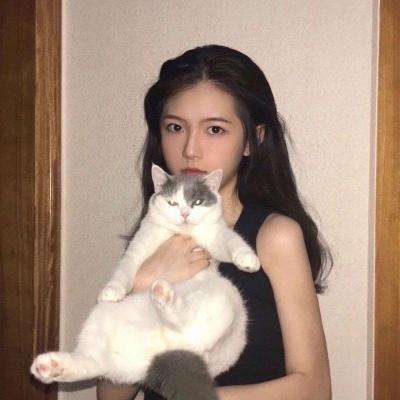 糖水三国果盘版下载